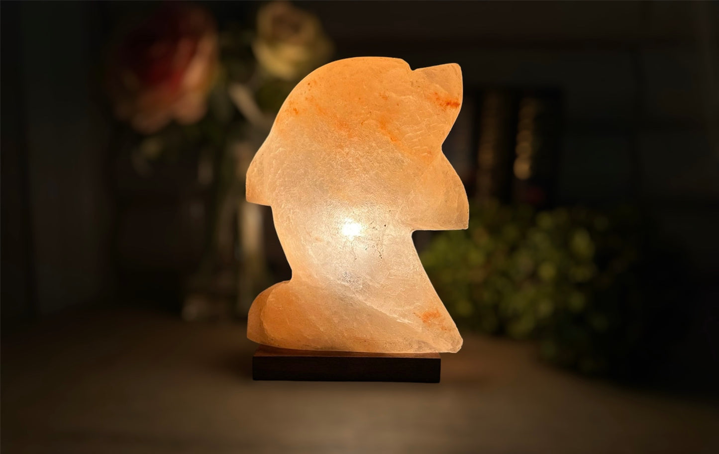 Himalayan Salt Dolphin Lamp