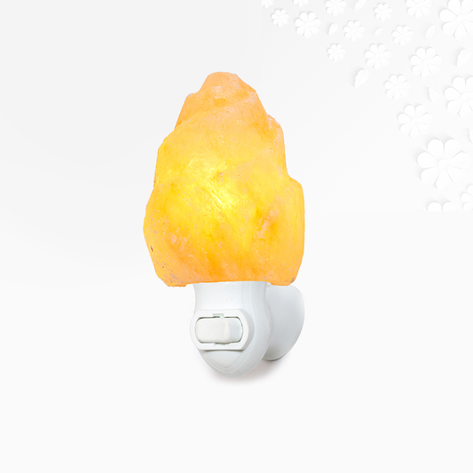 Himalayan Salt Rose Petal Night Light