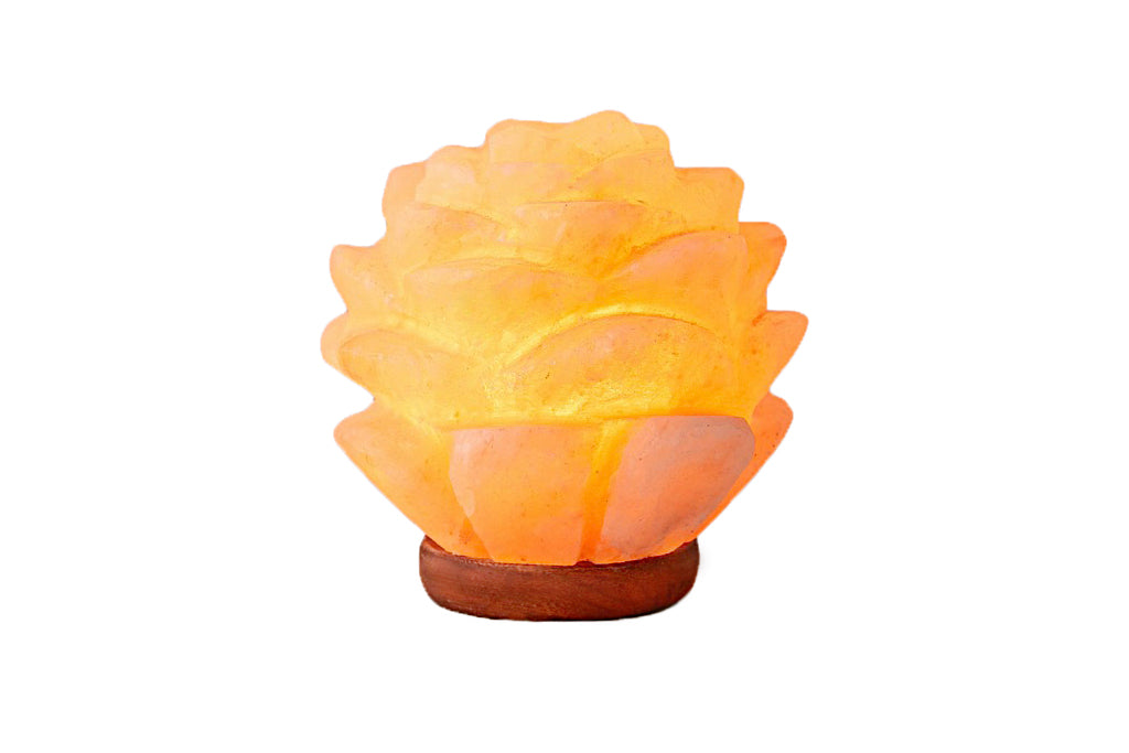 lamp for succulents Himalayan Salt Succulent Lamp