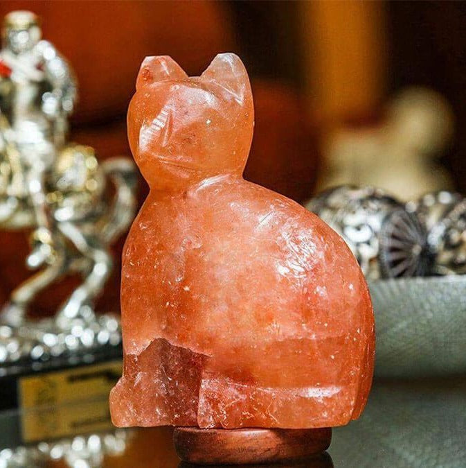 Himalayan Salt Cat Lamp