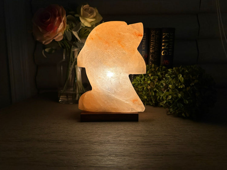 Hand-carved Himalayan salt dolphin lamp