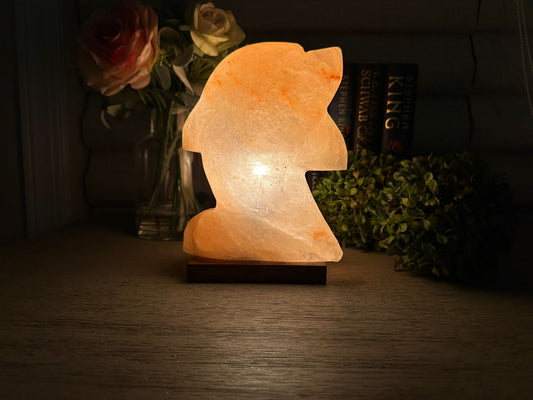 Himalayan Salt Dolphin Lamp