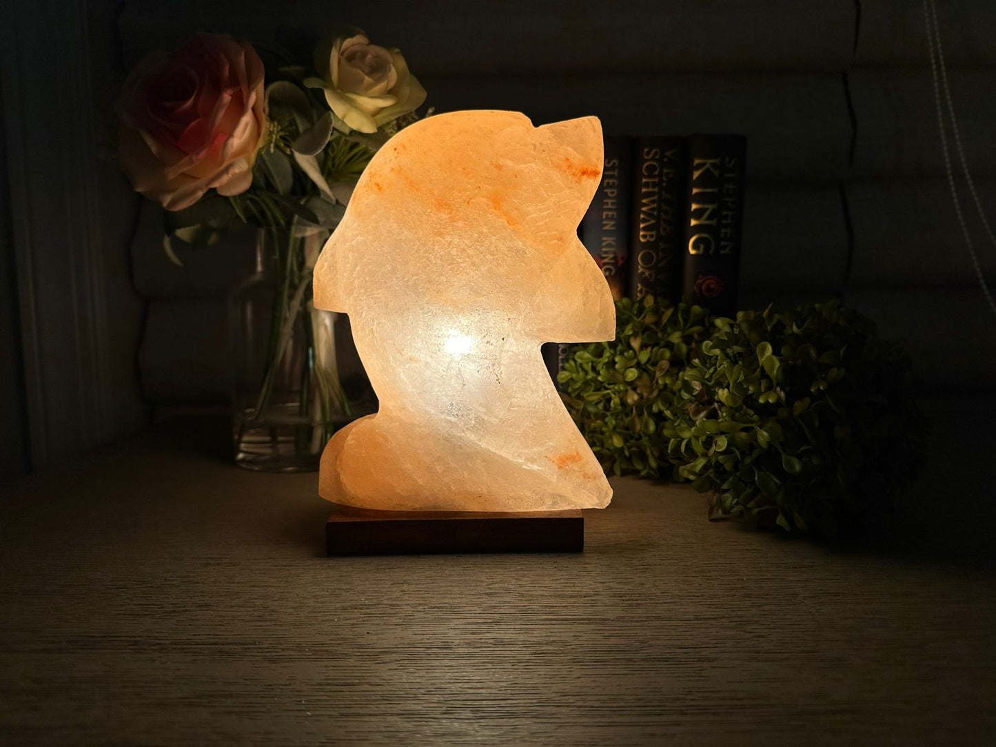 Himalayan Salt Dolphin Lamp