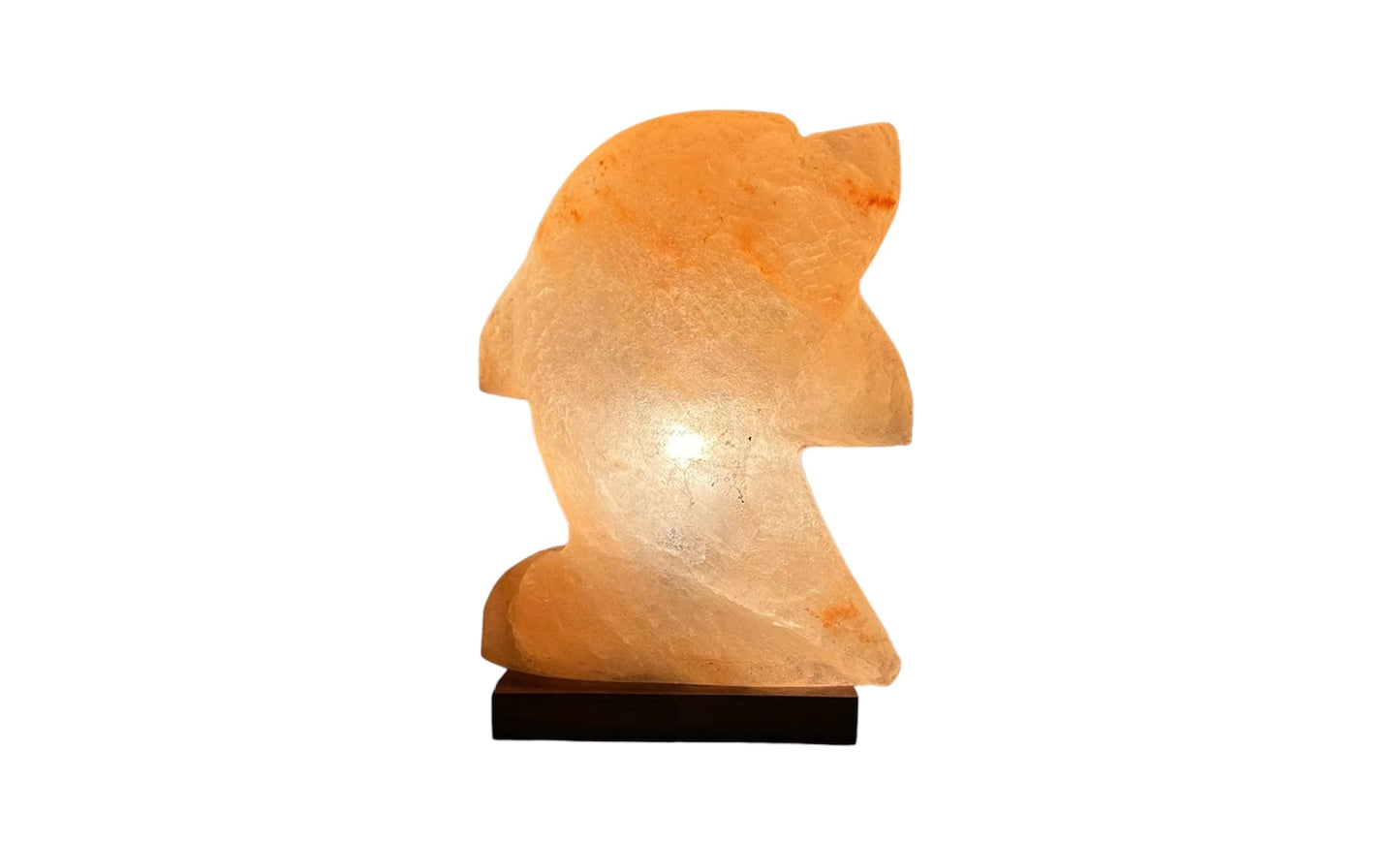 Himalayan Salt Dolphin Lamp