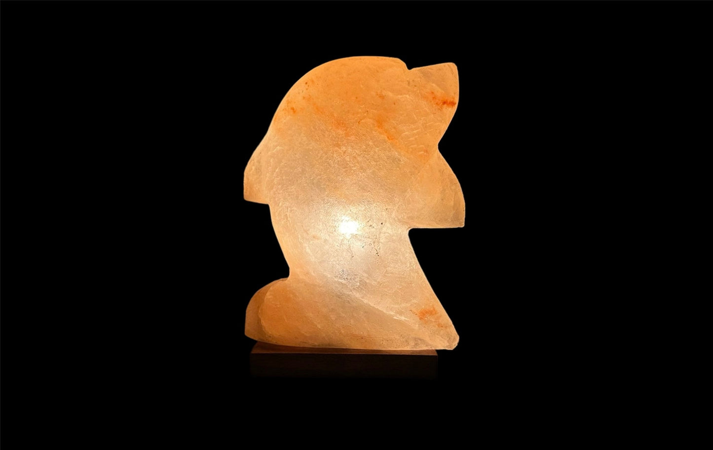 Himalayan Salt Dolphin Lamp