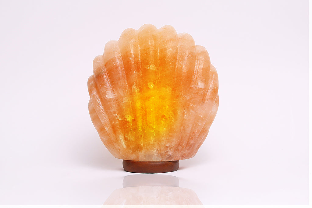 Sea Shell Himalayan Salt Lamp