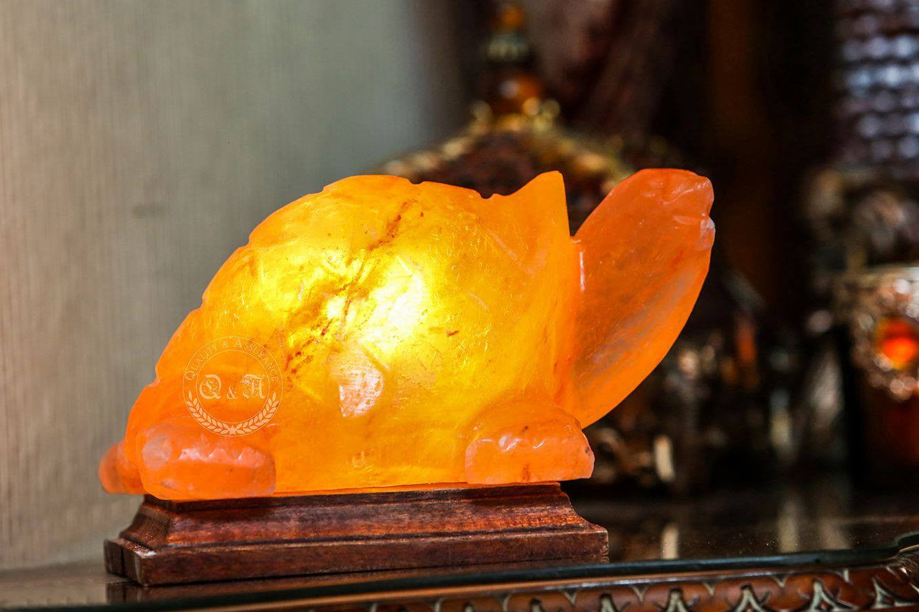 Himalayan Salt Turtle Lamp