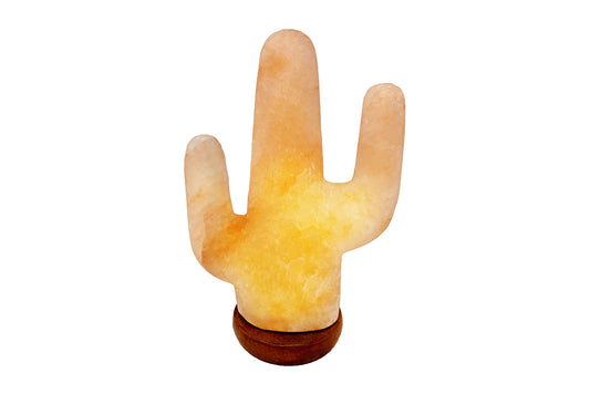 Himalayan Salt Lamp Saguaro Cactus
