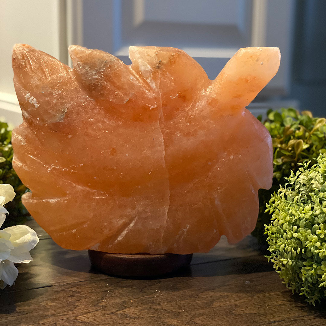 Himalayan Salt Maple Leaf Lamp