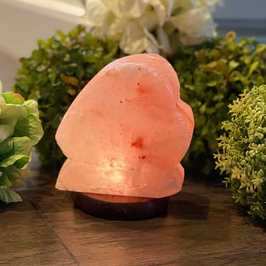 Himalayan Salt Mini Love Boat USB Lamp