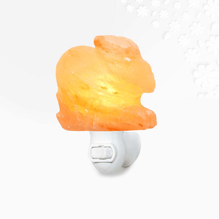 Himalayan Salt Bunny Rabbit Night Light | Ambiance Enhancer – Q & A ...