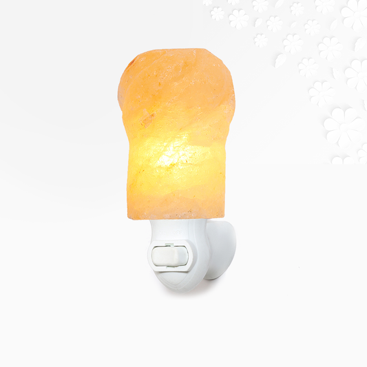 Himalayan Salt Torch Night Light