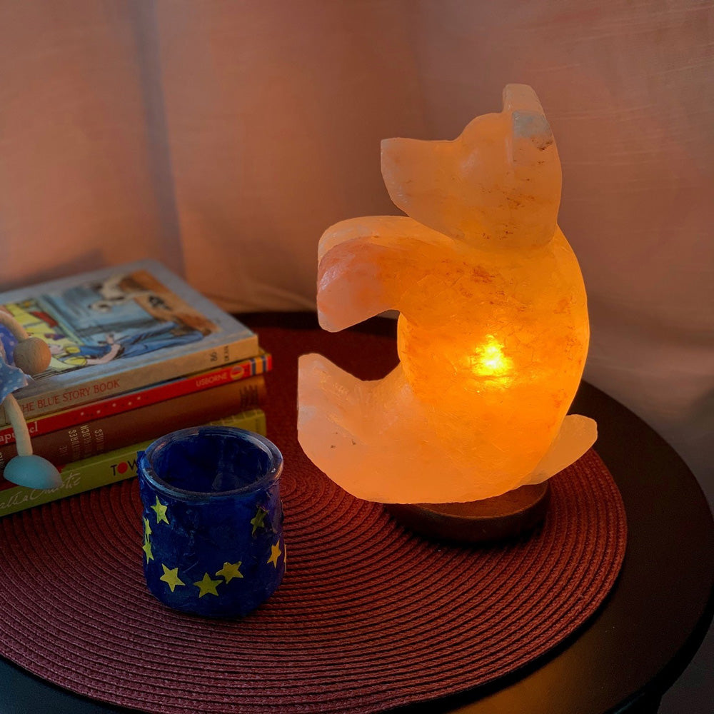 Himalayan Salt Lamp Bear