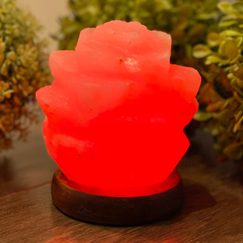 Himalayan Salt Mini Succulent Salt Lamp