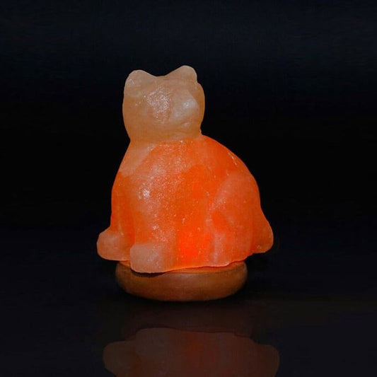 Himalayan Salt Mini Cat USB Lamp