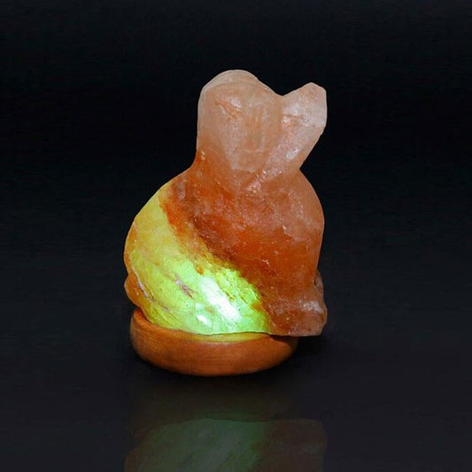 Himalayan Salt Mini Dog USB Salt Lamp