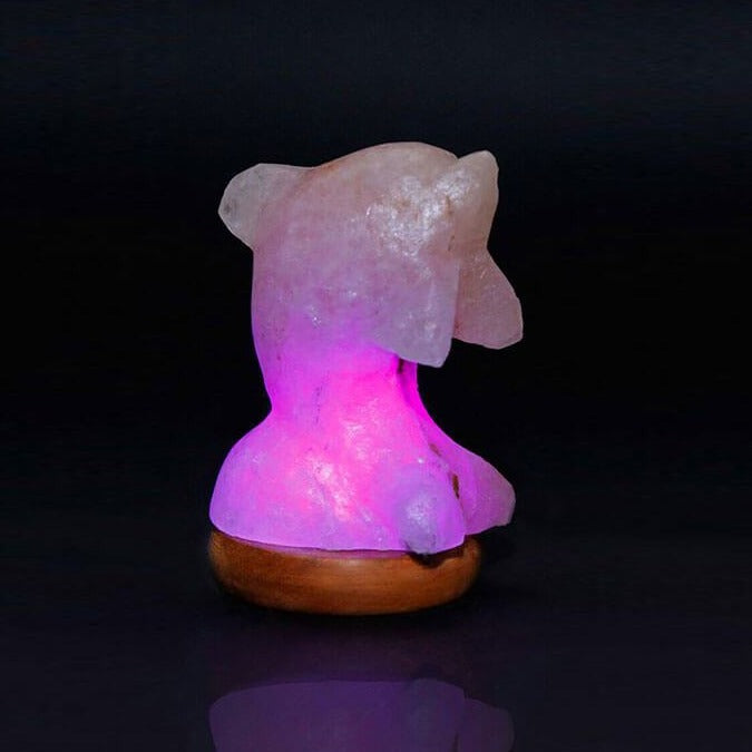 Himalayan Salt Mini Dolphin Salt Lamp