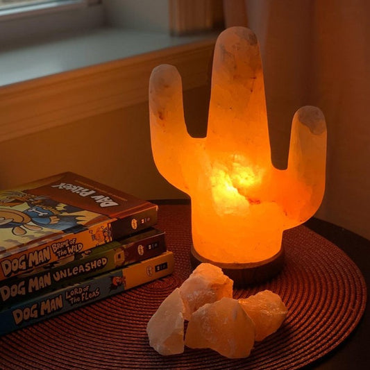 Himalayan Salt Lamp Saguaro Cactus