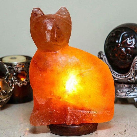 Himalayan Salt Cat Lamp