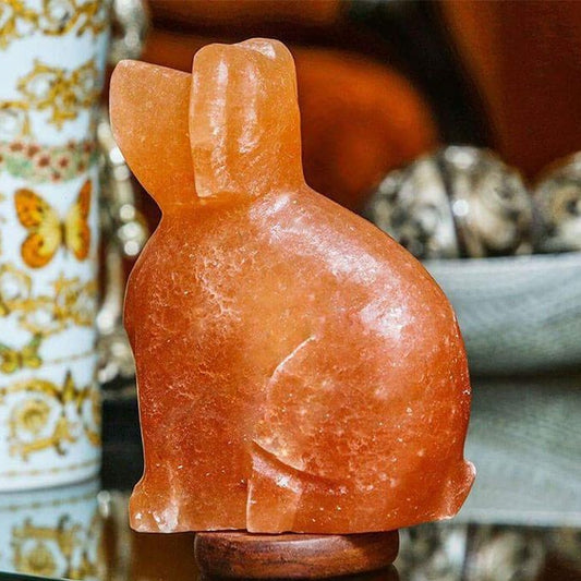 Himalayan Salt Lamp Dog