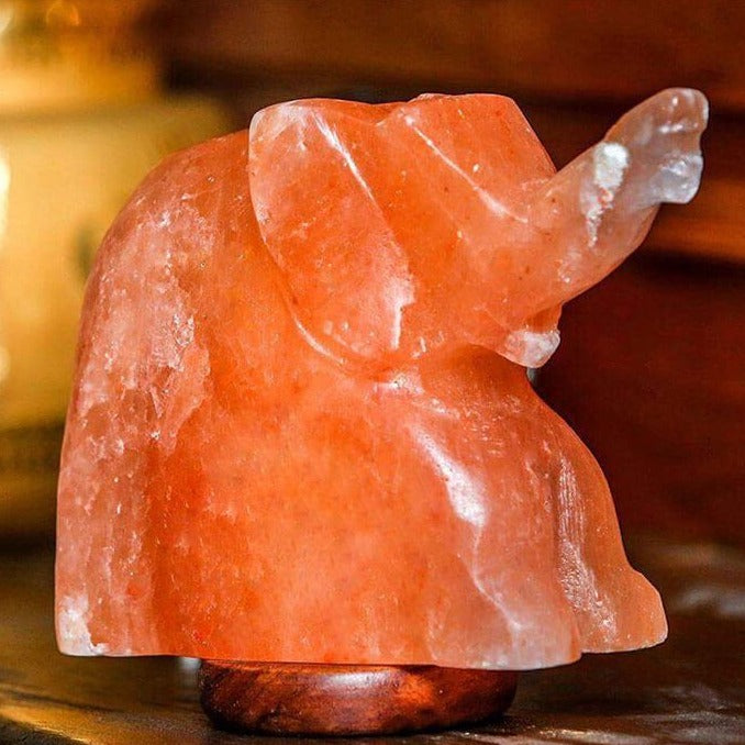 Himalayan Salt Elephant Lamp