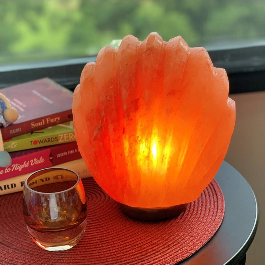 Sea Shell Himalayan Salt Lamp